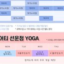 요가초급반 이미지