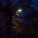 송정천체육공원 이미지