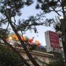 팔당로 221 | 한국인의밥상 남양주 쏘가리의 맛 쏘가리맑은탕 쏘가리회 맛집 예봉산장 식당 위치