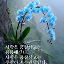 1구역[천력6월25일(양8/7금)홀리머더한과 하나되자! 축복승리를 위한 호명기도회(축복185명/건강회복25명)] 이미지