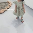 콩콩 이미지