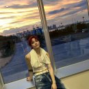 스쿨시티 이미지