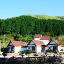 아리숲펜션 이미지