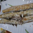 생선예찬 이미지