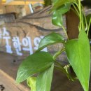 깊은숲한의원 이미지