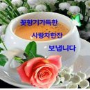 꽃향기가득한 이미지