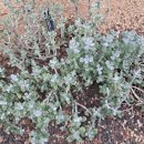 유명림행정사사무소 이미지