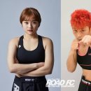 로드FC 가좌짐 쿠키뉴스