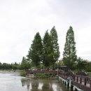 금관대로1368번길 이미지