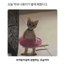 마음드리