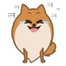 토토애견 이미지