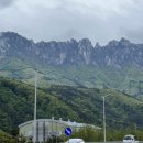 장사항활어직판장 이미지