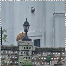 갯벌놀이펜션 이미지