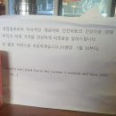 그라파피자리아 티스토리