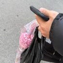 대원상사 앞 이미지