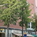 대덕대로-21 이미지