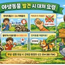 야생과