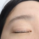 첫눈에반하다 | 첫눈에반하다 속눈썹펌맛집