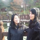 수봉초등학교 이미지