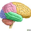 동생한의원 이미지