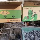 최고집참숯왕갈비