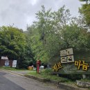 모야의숲 캠핑장 | 2025.08 캠핑장 리뷰 : 인제 오아시스정글 캠핑장 편의시설 소개 및 계곡과 온천이 있는 이색 캠핑장