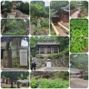 서울힐링요양병원 이미지