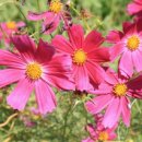 가산농장 이미지