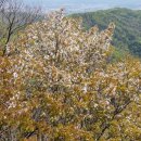 강남구 서초구 방송 연기 영화 사진 학원 교습소 명단 자료실 디스코드 부동산 서버 안내 이미지