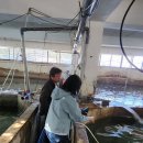 청송수산 이미지