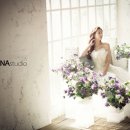 더 피오나