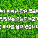 태양직업소개소 - 관악구 | 태양직업소개소