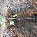 순만농장 이미지