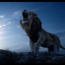 라이온킹 이미지