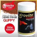 헬로구피 이미지