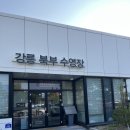 동해(삼척) | 우주프리다이빙 동해삼척점 - 신나고 즐거웠던 체험프리다이빙 후기