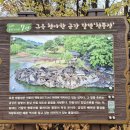 청풍정 | 🍁 금강비경 7선: 가을 정취 가득한 '청풍정' 여행 후기