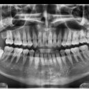 리볼리치과의원 이미지