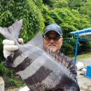 신신민박 이미지