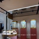 미소콜렉션 | 포멜라토 투게더 컬렉션 후기 추천 내돈내산