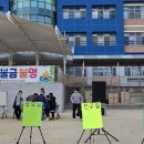 야성초등학교 앞 네이버블로그