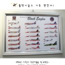 이글스정비 이미지