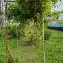 마송농장 이미지