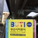동백공원 대체 | 3년마다 부국제 가는 사람ㅋ