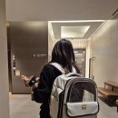 빈슈네