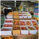 선산대로-69 이미지