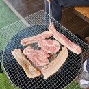 그라티아글램핑장 | 가평, 작고 아기자기, 그리고 평온한 글램핑장 크라티아 글램핑장