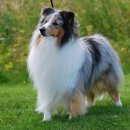 해옴동물병원 이미지