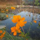 운암지주유소 이미지