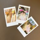 스토리한 | [본식 후기] 웜스토리 아이폰 스냅 빌라드마리 베뉴 내돈내산 솔직 후기🤍